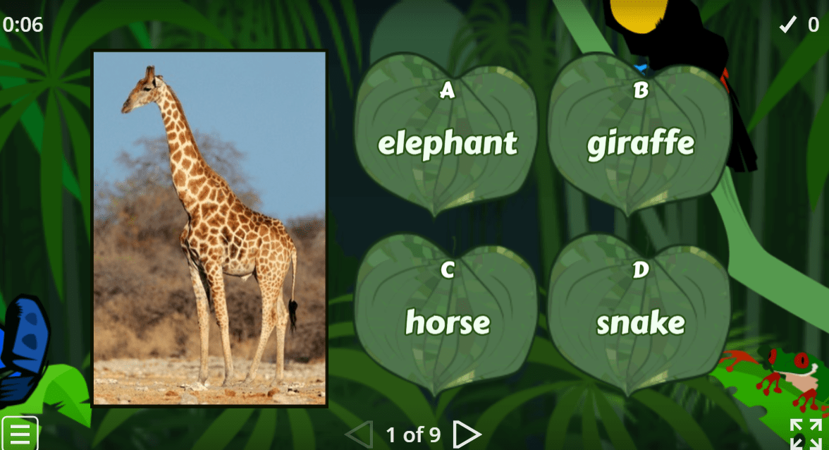 Animals Quiz