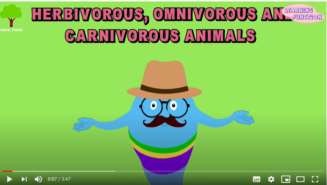 Herbivores/Carnivores/Omnivores Animals
