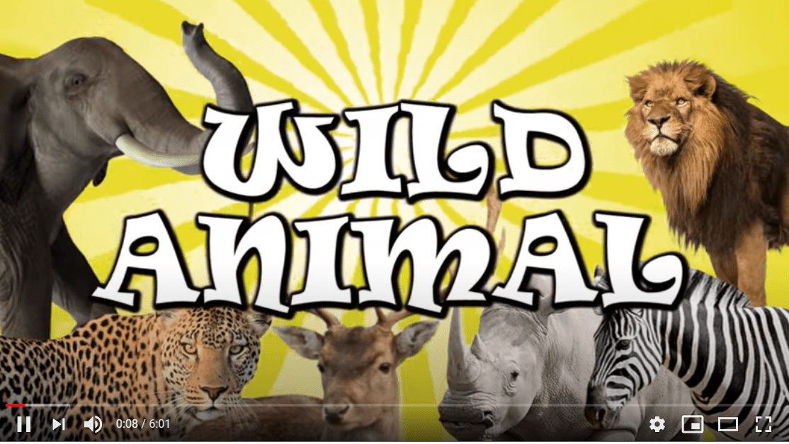 Wild Animals Vocabulary